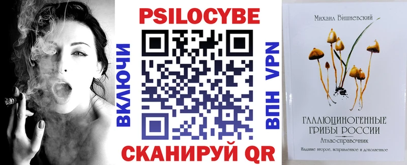 darknet какой сайт  Западная Двина  Псилоцибиновые грибы мухоморы  что такое наркотик 
